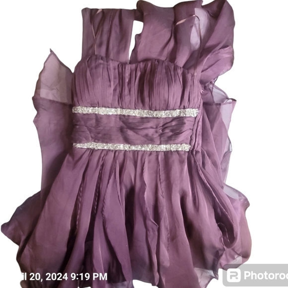 AGGIE, Plum, spaghetti strap, high-low, semi-formal w silver bead accents. SZ. M - Picture 3 of 5